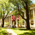 Harvard University